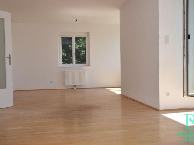 Aussergewöhnliche Dachterrassenwohnung mit Blick über Wien und Eigengarten!