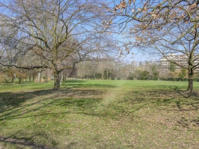 AUSSERGEWÖHNLICHE Helle Wohnung mit Blick auf den Park Bertrand – CHAMPEL, GENF
