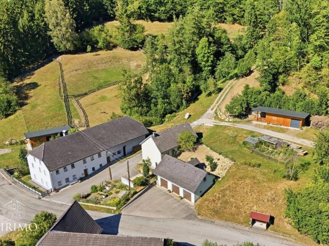 Außergewöhnliche Liegenschaft mit 2 Wohneinheiten, Stallungen, Werkstatt sowie ca. 3,7 ha Wiese & 5,7 ha Wald
