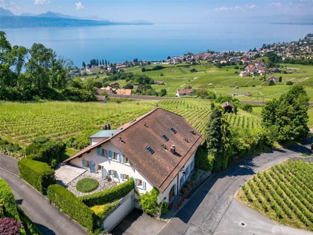 Außergewöhnliche Residenz im Herzen von Lavaux