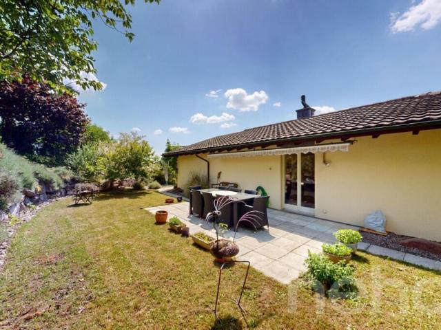 Aussergewöhnliches 6.5 Zimmer Doppeleinfamilienhaus