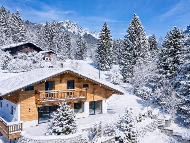 Außergewöhnliches Chalet mit Panoramablick auf die Dents du Midi