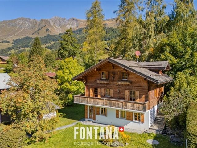 Außergewöhnliches Chalet und privilegierte Lage