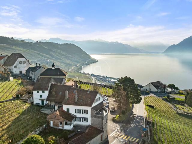 Außergewöhnliches Gebäude mit 3 Wohnungen und Panoramablick, Lavaux