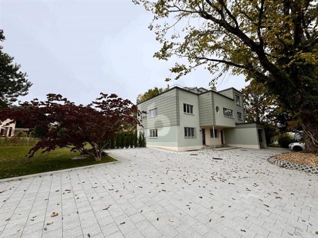 AUSSERGEWÖHNLICHES DUPLEX – GARTEN MIT 670 M² + DACH