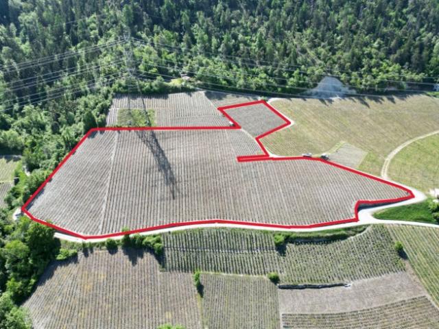 Außergewöhnliches Weingut in Chalais Wallis 12.794 m²