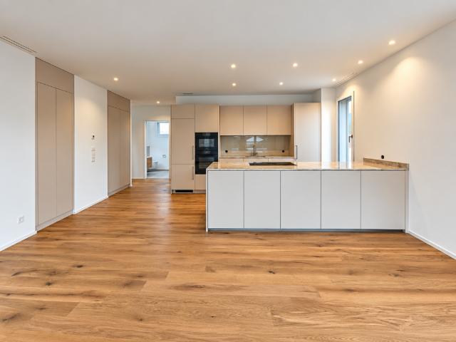 Äusserst hochwertige Attikawohnung mit riesiger Terrasse und wunderschöner Weitsicht