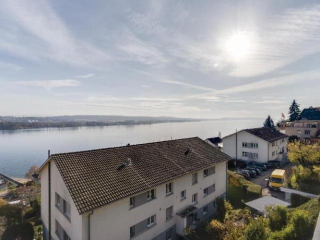 Aussicht auf die Alpen & auf den Bielersee