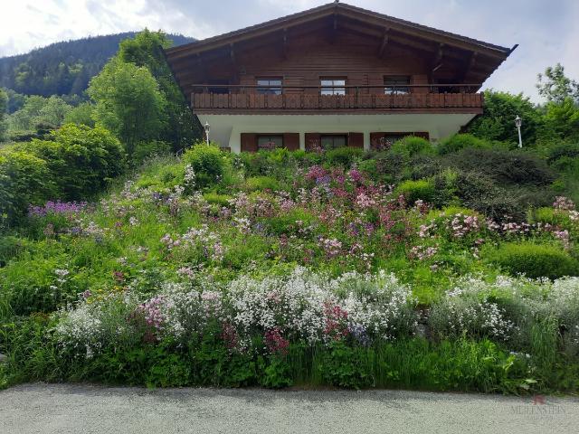 Aussicht Sonne Ruhe Haus in Brand