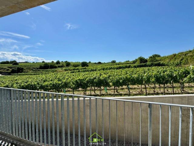 Aussichtslage Top 8: Weingartenblick 3 Zimmer Eigentumswohnung mit Terrasse