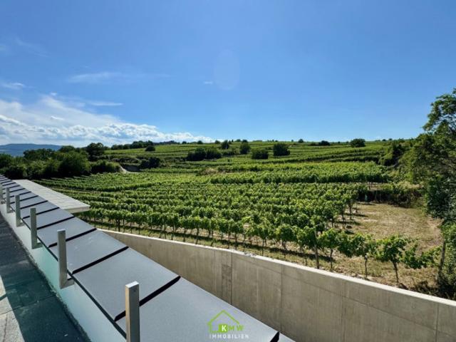 Aussichtslage Top 11: Weingartenblick Luxuriöse 4 Zimmer Dachgeschosswohnung mit herrlicher Terrasse