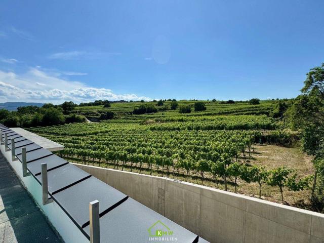 Aussichtslage Top 11: Weingartenblick Luxuriöse 4 Zimmer Dachgeschosswohnung mit herrlicher Terrasse