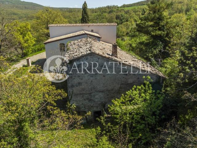Autentico casale toscano da ristrutturare immerso nella camp. 300m² Radicofani