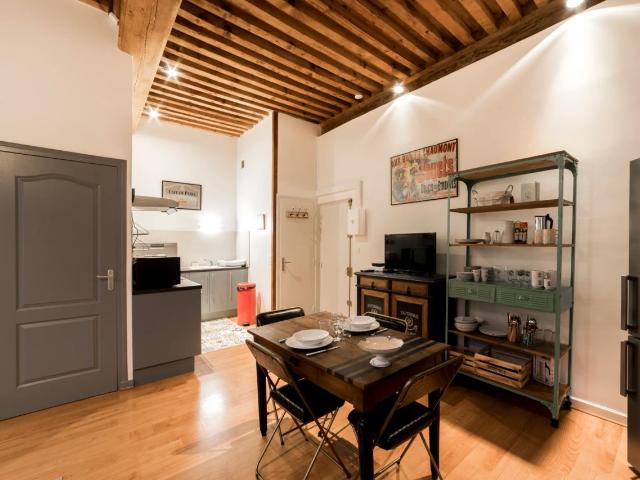 Authentic flat near Old Lyon, Lyon Amsterdam Apartments for Rent
