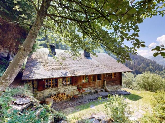 Authentique chalet d'alpage ? Déconnexion totale et charme alpin