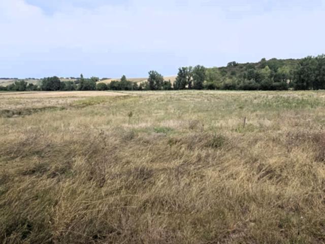Authentique corps de ferme avec plus de 3,5 hectares de terr