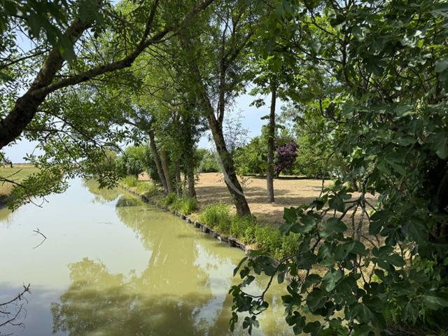 Authentique corps de ferme en pierres Plus de 11 hectares Un havre de paix aux portes de La Rochelle