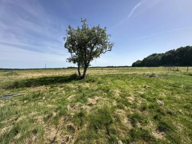 Authentique ferme de 156 m² à Chauvigny