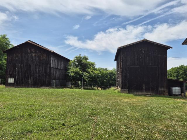 Authentique Maison en Pierre avec plus de 2 hectares et nomb