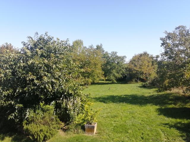 Authentique maison en pierre avec terrain et dépendances à Loubers 81