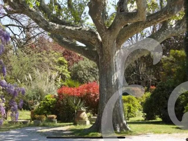 Authentique Mas Provençal