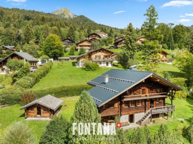 AUTHENTISCHES CHALET AUS DEM JAHR 1840 LES DIABLERETS