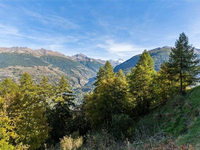 Authentisches Chalet mit Blick auf die Dent Blanche