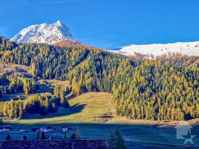 Authentisches Dorfhaus aus dem 18. Jahrhundert mit Aussenbereichen