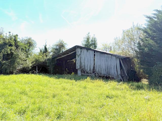 Auv 1194: Belle maison en pierres, à rénover, dépendances, 2150m2