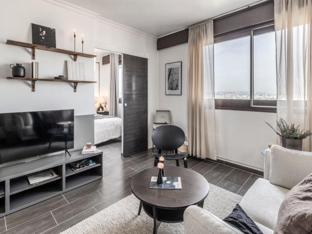 Auvers 1 bedroom in Javel