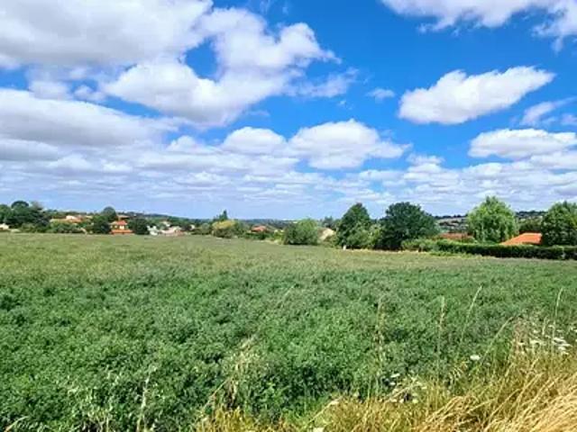 Auzielle 31650 Programme neuf maison neuf à vendre 6 pièces