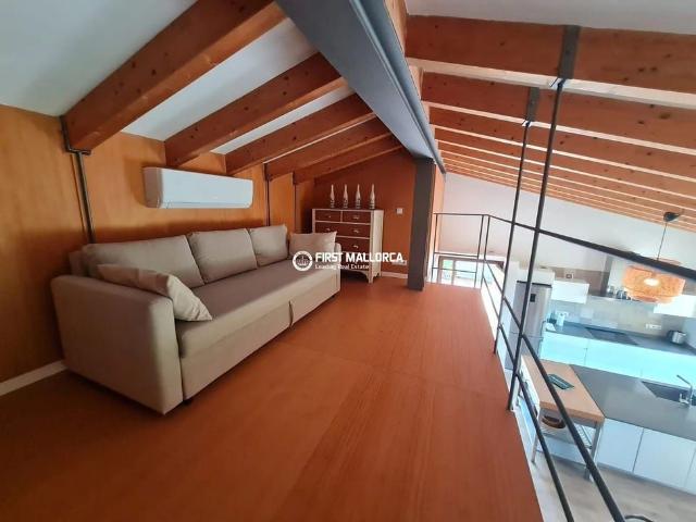 Av. son Caliu, 17, 07181 Palmanova, Illes Balears, Spain, Palma Nova, Balearic Islands 07181
