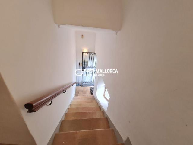 Av. son Caliu, 17, 07181 Palmanova, Illes Balears, Spain, Palma Nova, Balearic Islands 07181