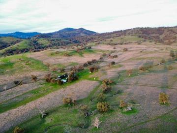 Avoca Productive Liverpool Plains Grazing Opportunity