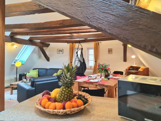 AVAHOME: Loft style apartment for 4 in Kandel / near Karlsruhe, WiFi, Netflix, kitchen, washer dryer, parking space