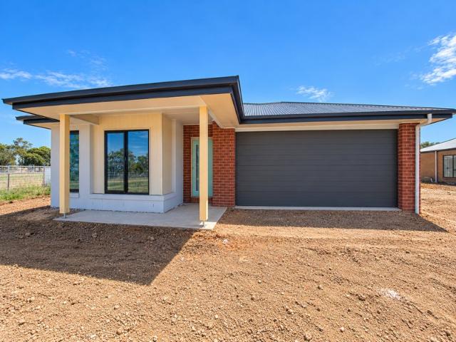 Available end of November approximately
