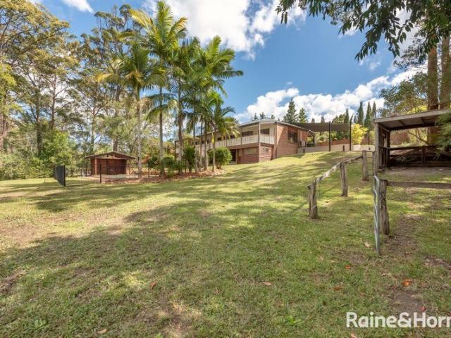AVAILABLE NOW! PRIVATE HINTERLAND RETREAT IN THE HEART OF BONOGIN