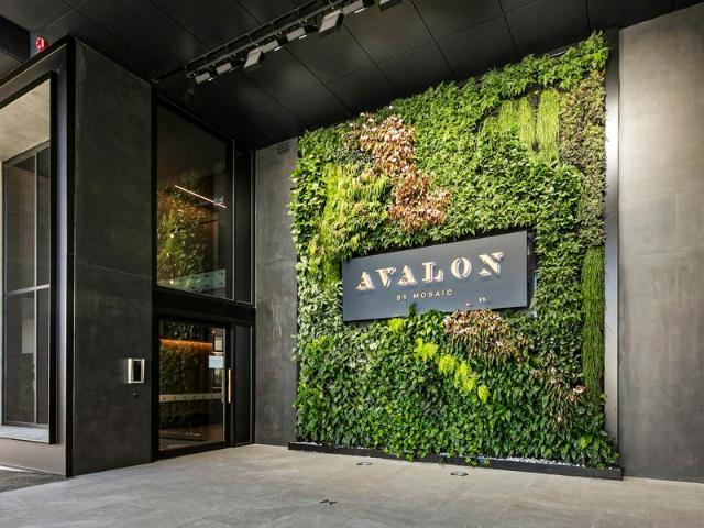 Avalon by Mosaic Luxury Apartment and Designer Amenity