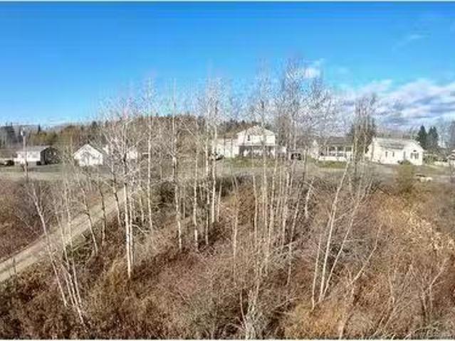 Ave Des Pionniers, Balmoral, NB, E8E 1P6 vacant land for s.