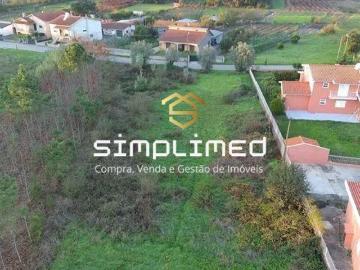 Aveiro Anadia 3780 100008061