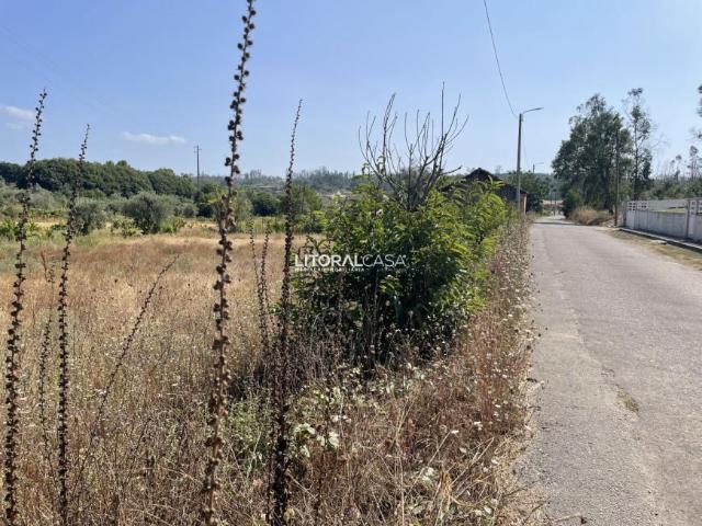 Aveiro Águeda 3750 104433628