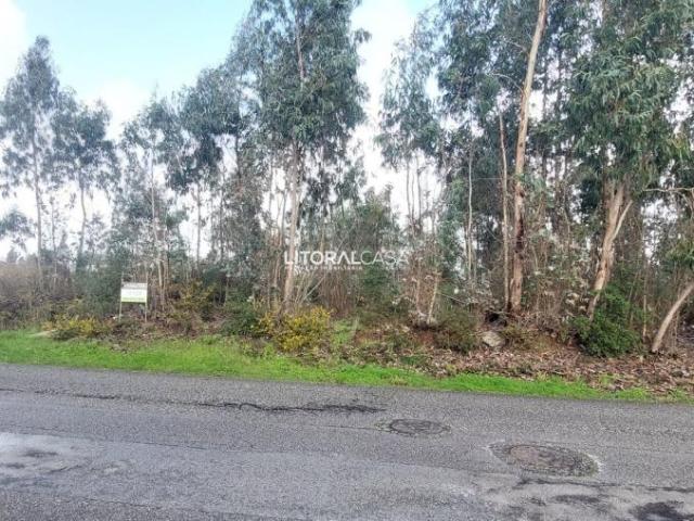 Aveiro Águeda 3750 105185206