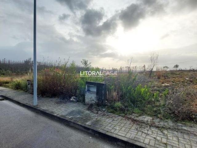 Aveiro Águeda 3750 98419983