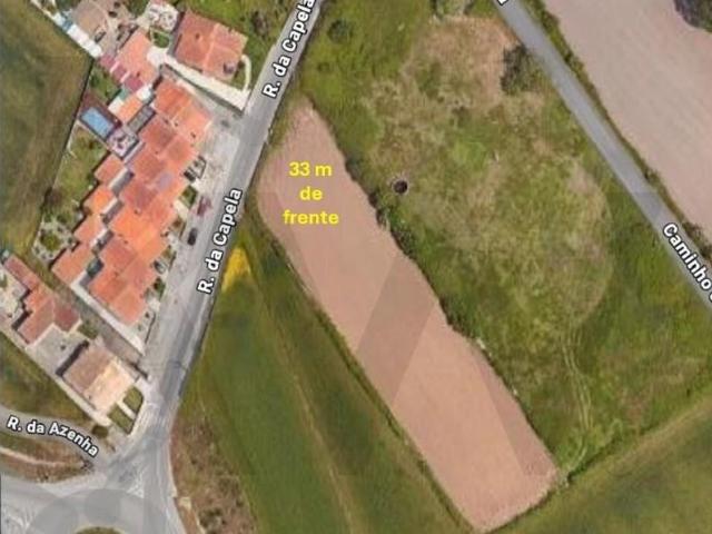 Aveiro Aveiro 104946154