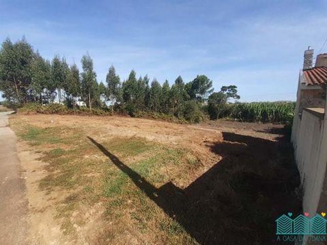 Aveiro Aveiro 105078664