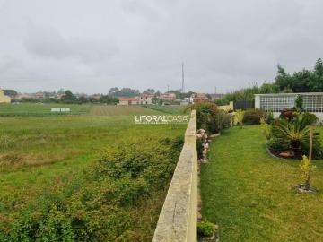 Aveiro Aveiro 3800 102551450