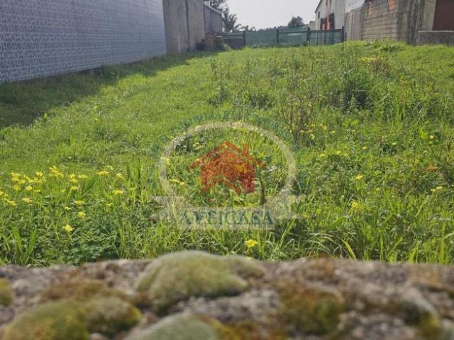 Aveiro Aveiro 3810 104985403