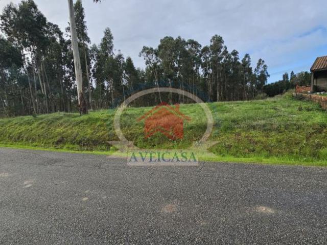 Aveiro Aveiro 3810 97266366