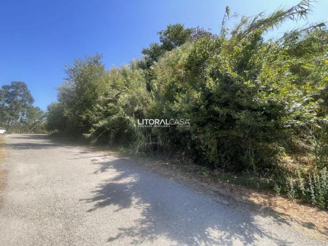 Aveiro Oliveira do Bairro 3770 105166688