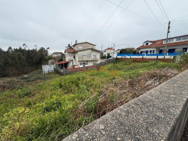 Aveiro Oliveira de Azeméis 3720 100211814